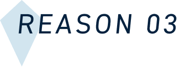 REASON 03